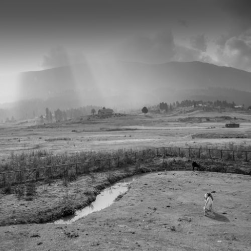 Gulmarg: le golf 2