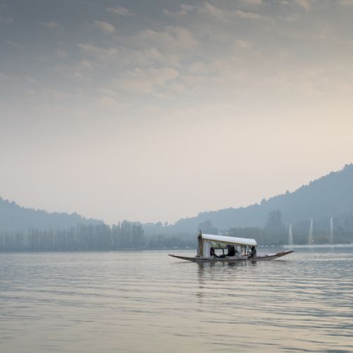 Srinagar: Shikara sur le Dal Lake 1