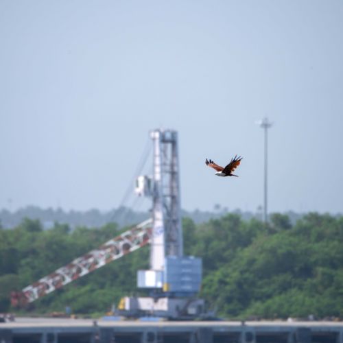 Fort Cochin
