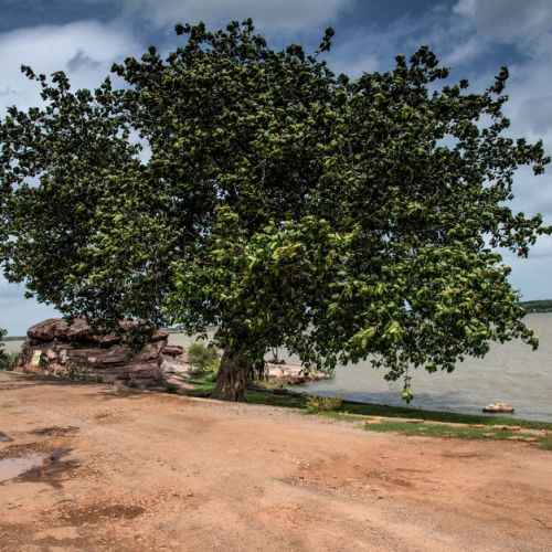 On the Road Rajasthan