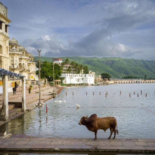 Pushkar